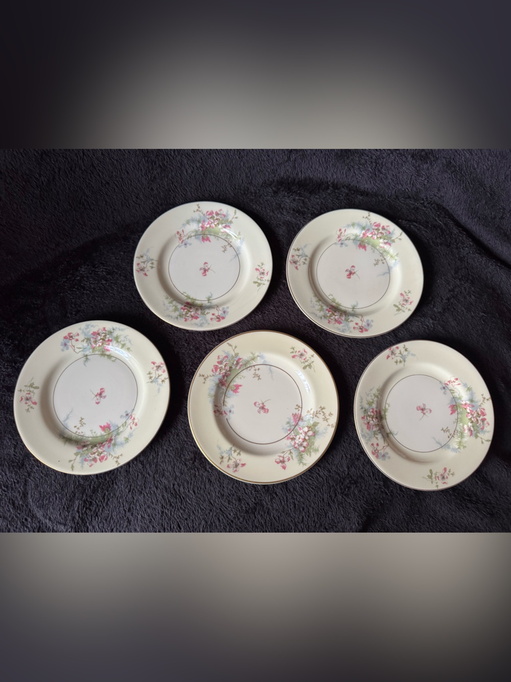 5 Theodore Haviland New York Bread & Butter Plates 6.5” Apple Blossom